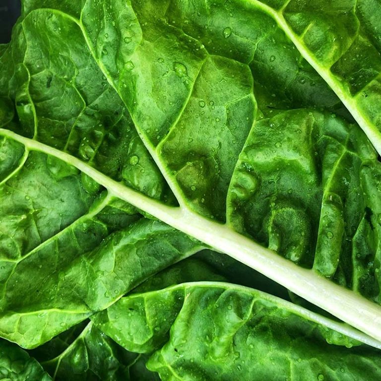 Spinach Bunch Sagewood Cafe