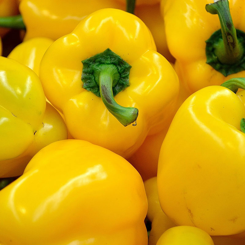Pepper, Yellow, Sold in singles, 0.12 - 0.24 kg